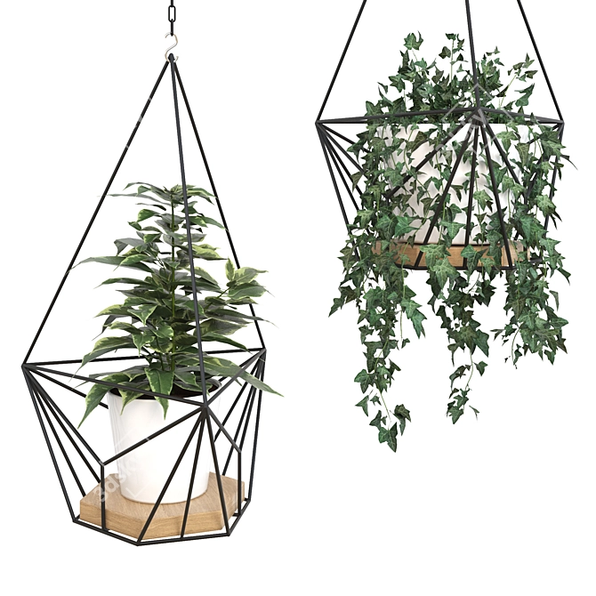 Title: Modern Hanging Planters with Vibrant Sansevieria, Ficus, and Ivy 3D model image 2