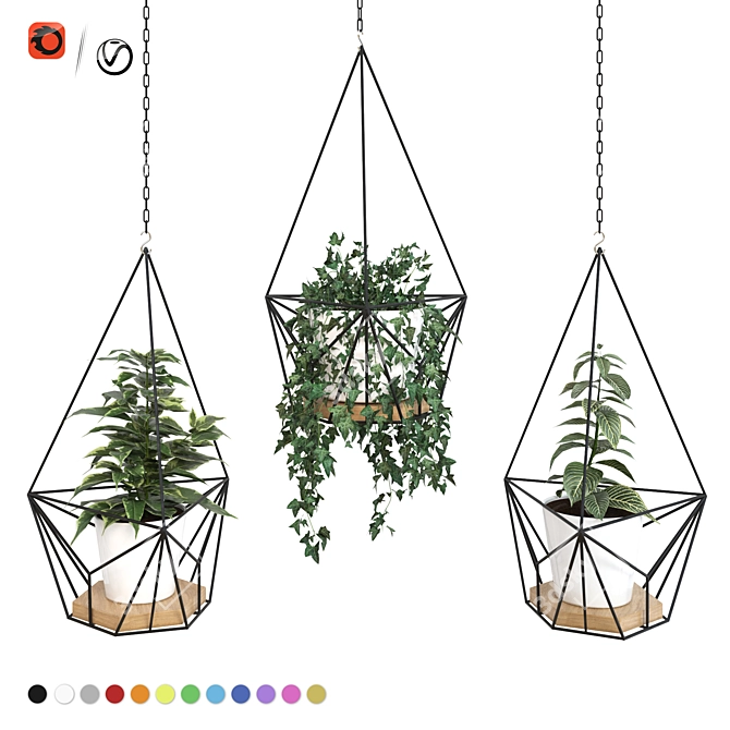 Title: Modern Hanging Planters with Vibrant Sansevieria, Ficus, and Ivy 3D model image 4