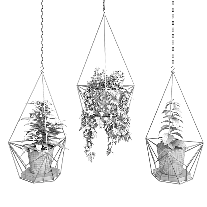 Title: Modern Hanging Planters with Vibrant Sansevieria, Ficus, and Ivy 3D model image 6