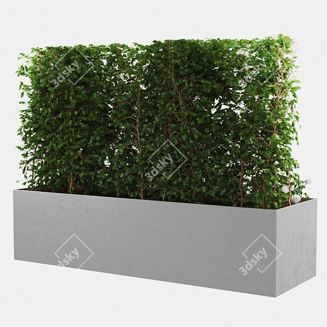 Botanical Bliss: 714k Poly Plant 3D model image 2