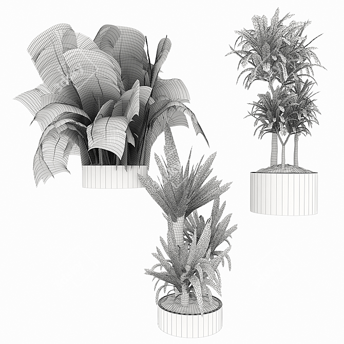 Lush Dracaena Collection: Vol. 6 3D model image 5