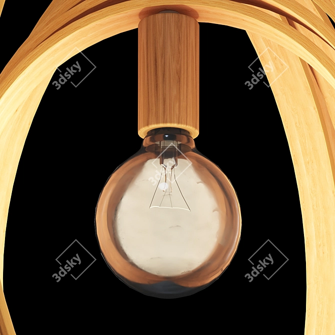 Retractable Wood Rings Pendant 3D model image 2