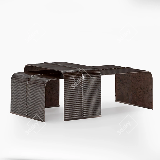 Luxury Italian Couch Table by Bottega Veneta 3D model image 1