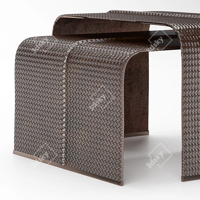 Luxury Italian Couch Table by Bottega Veneta 3D model image 2