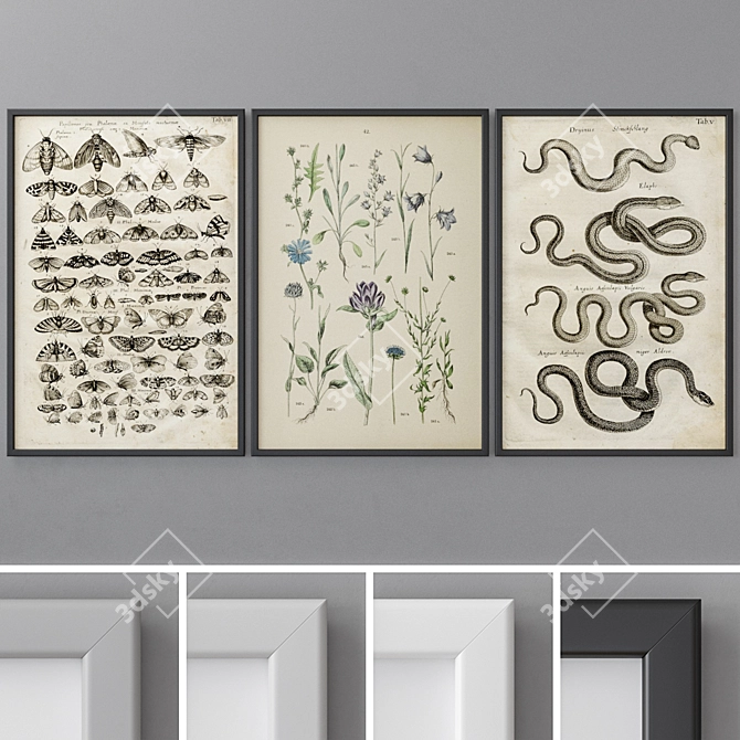 Modern Abstract Photo Frames Set 3D model image 1