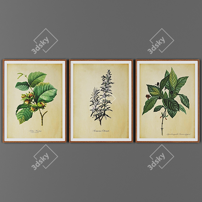 Wooden Frame Picture Set 3D model image 1