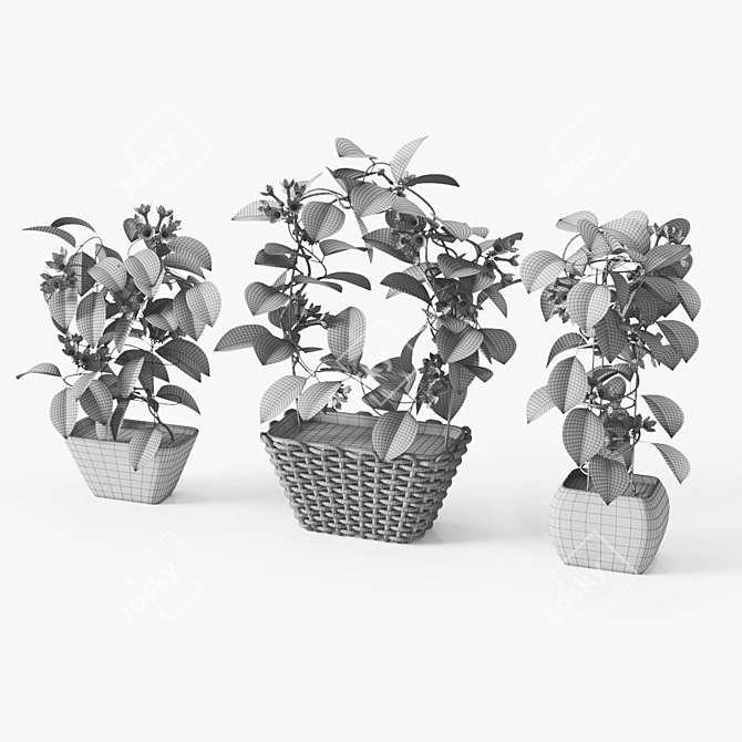 Stephanotis 3D Model - High Quality Mesh with Textures 3D model image 4