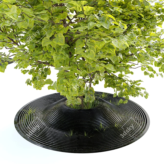 Linden Tree Metal Grate - 2.5m Height 3D model image 3