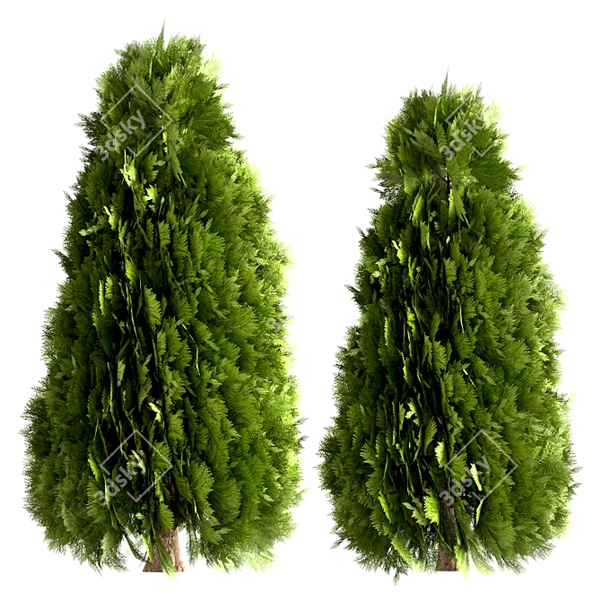 10 Stunning Thuja Occidentalis Trees 3D model image 5