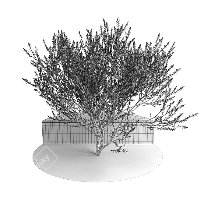 3D Model Asset Pack: RTA renders 3D model image 4