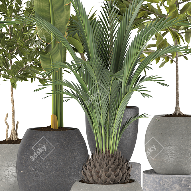 Lush Greenery Plants Collection 3D model image 3