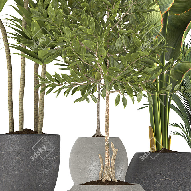 Lush Greenery Plants Collection 3D model image 4