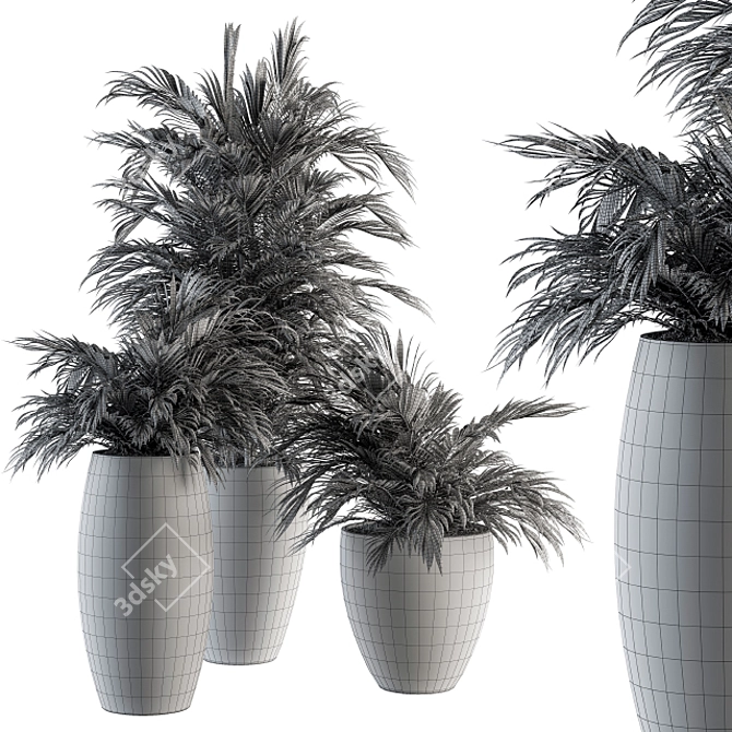 Tropical Oasis Indoor Plant Set 3D model image 5