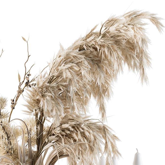 Boho Home Décor: Dried Plant & Pampas Set 3D model image 3