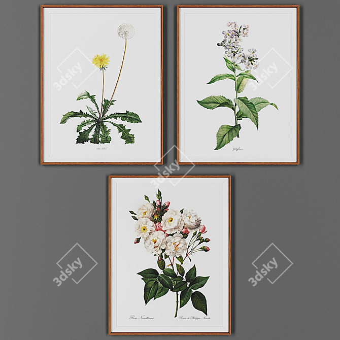 Wooden Frame Picture Collection 3D model image 1