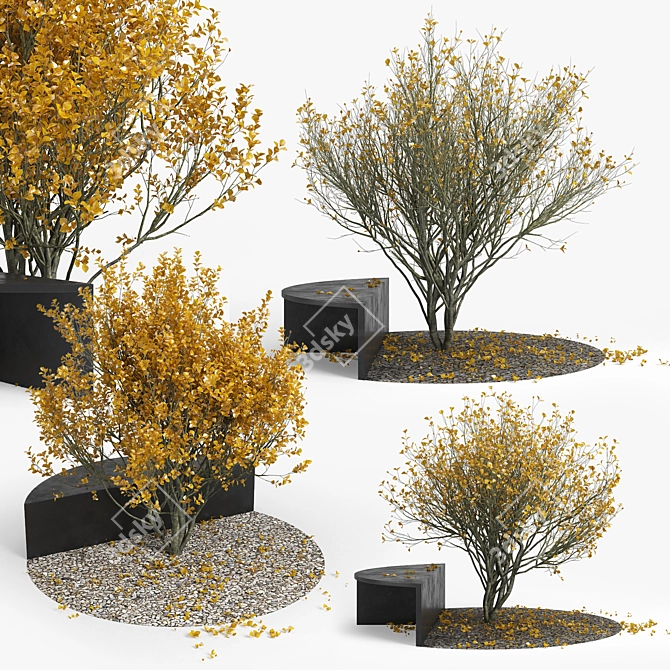 Autumn 3D Models Collection 3D model image 5