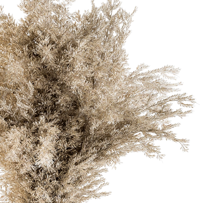 Pristine Pampas: 40 Dried Plants 3D model image 2