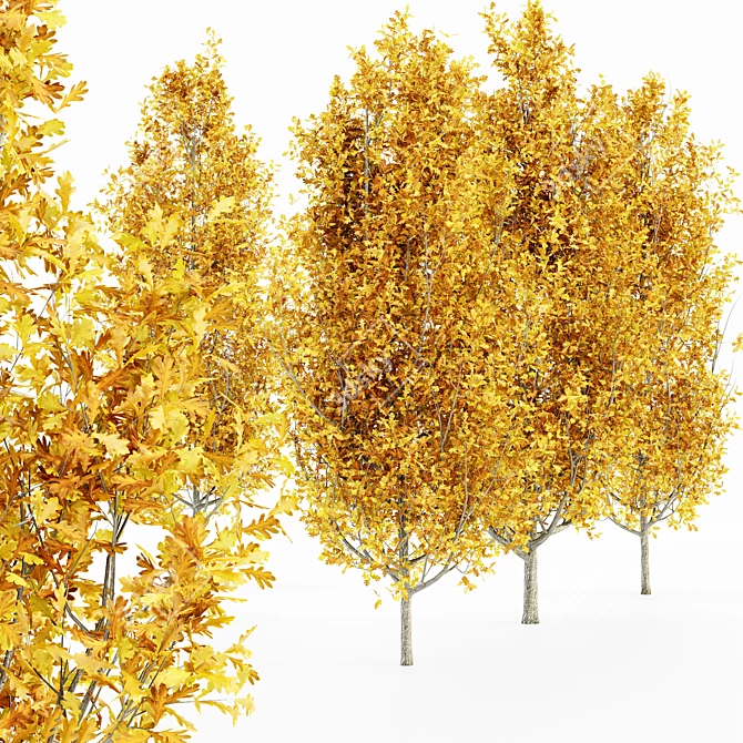 Luxury Fall Forest: Set of 5 Cypress Oak Trees 3D model image 2