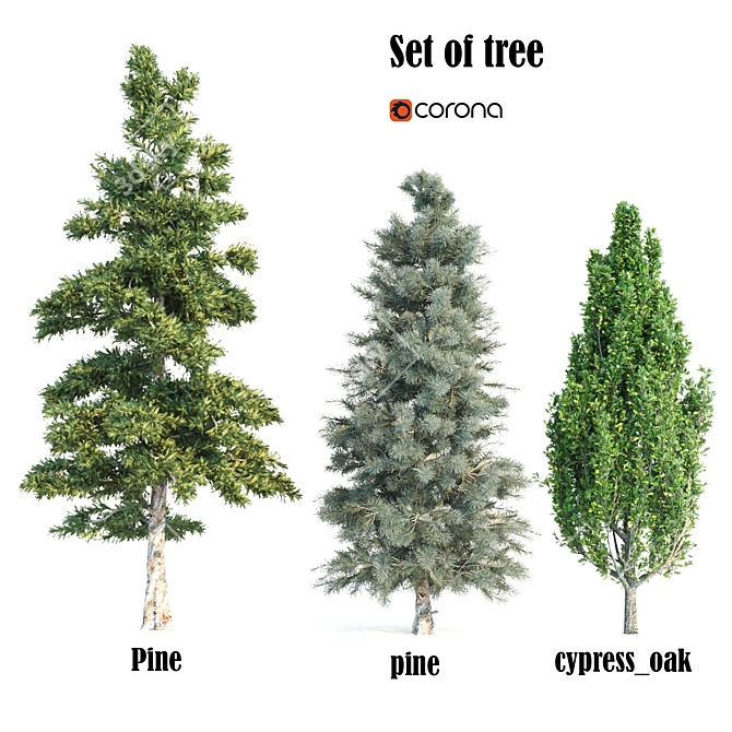 Versatile Set of Tall Trees 3D model image 1