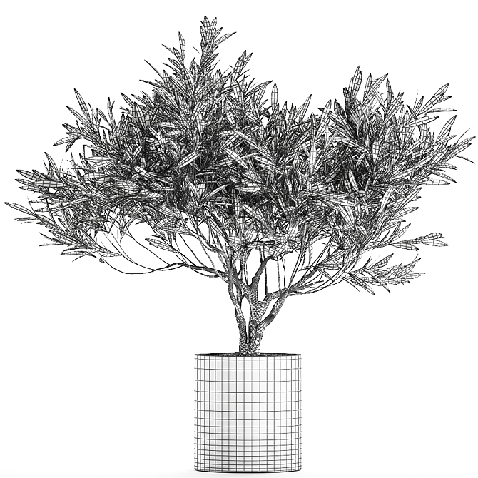 Exotic Plant Collection: Decorative Olive Tree in Black Vase 3D model image 5