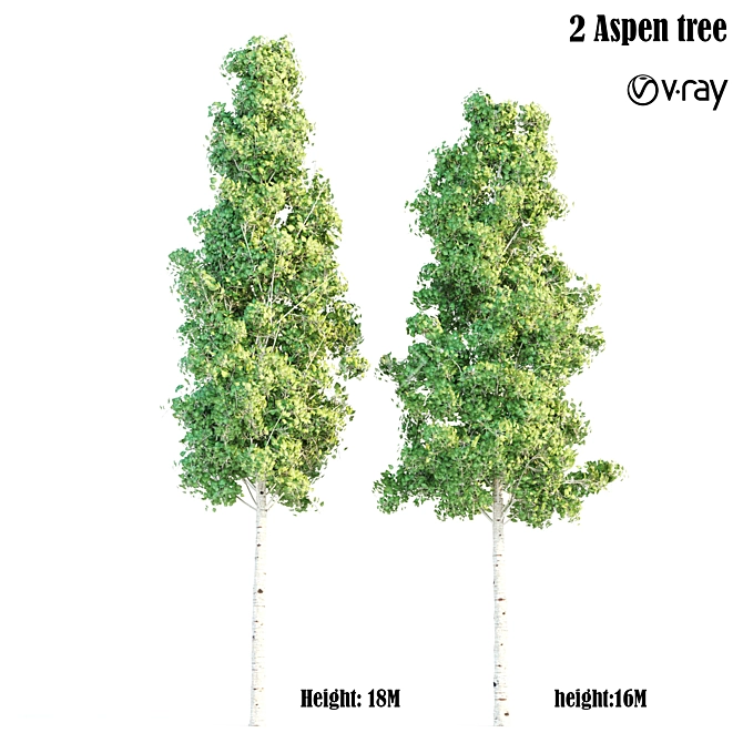 VRAY Aspen Trees Bundle 3D model image 1