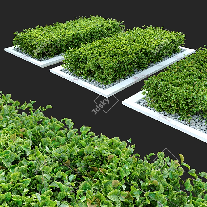 Gravel-Based Bush: Natural, Separated Parts 3D model image 2