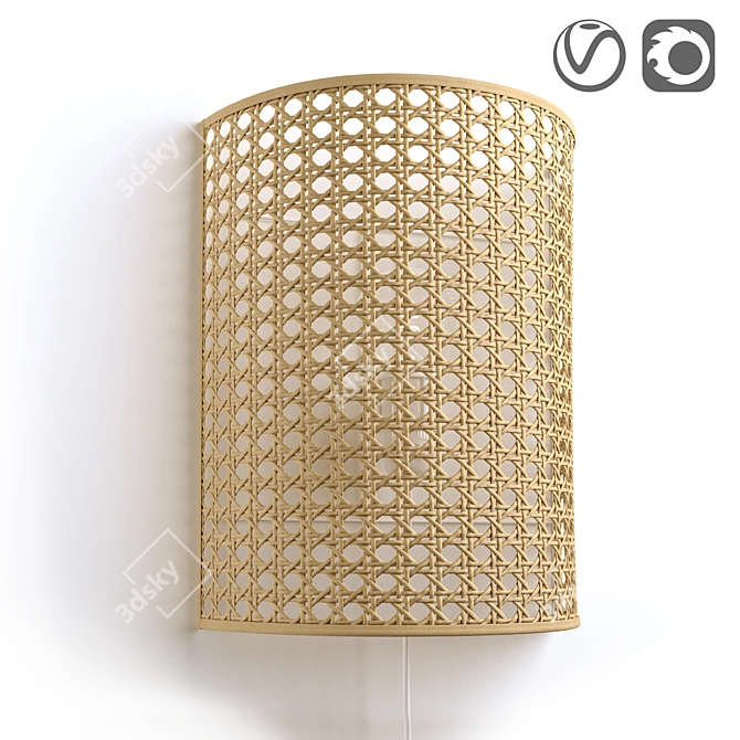 Natural Rattan Wall Lamp DOLKIE 3D model image 1