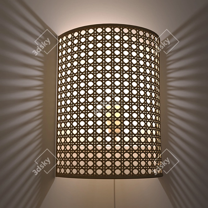 Natural Rattan Wall Lamp DOLKIE 3D model image 2