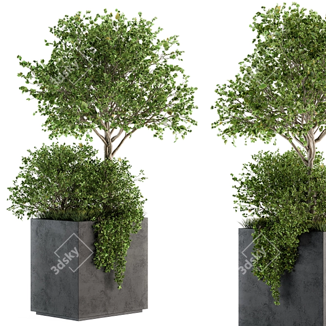 Concrete Box Outdoor Plant Set 93 3D model image 1
