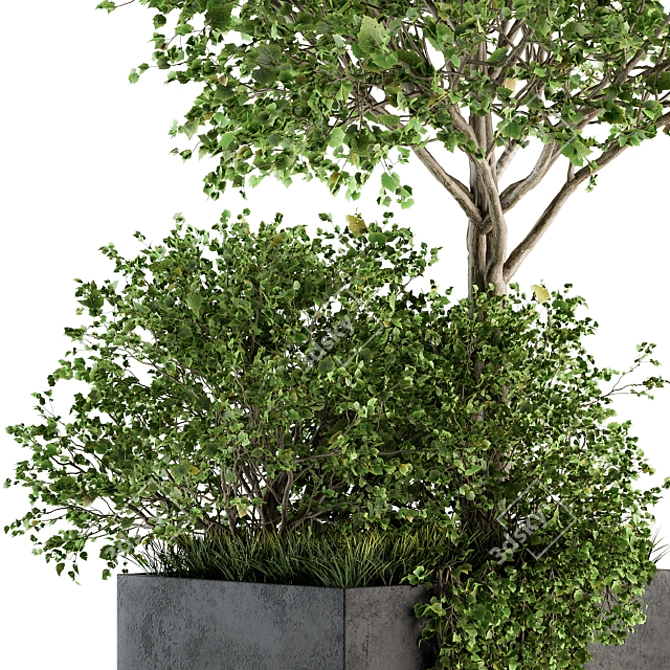 Concrete Box Outdoor Plant Set 93 3D model image 3