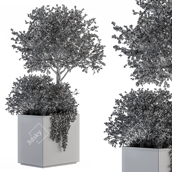 Concrete Box Outdoor Plant Set 93 3D model image 5