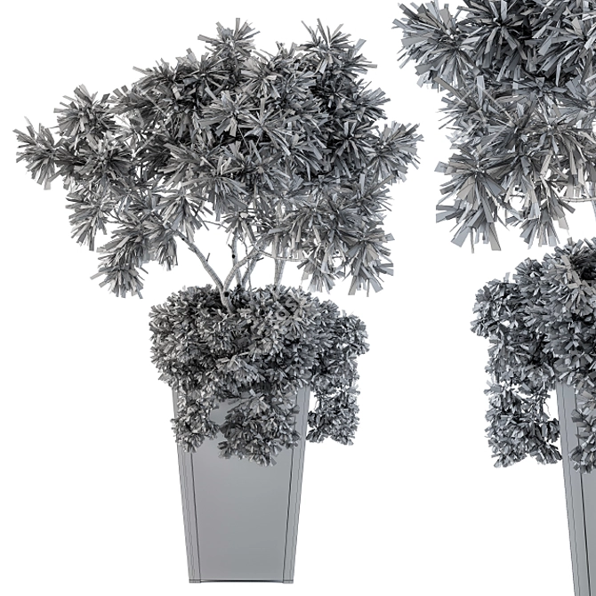 Elegant Indoor Olive Plant Set 3D model image 3