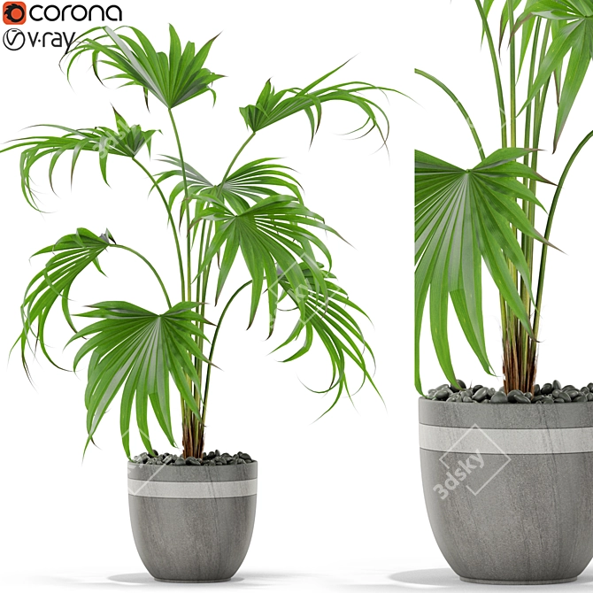 407 Plants Collection: Lush and Vibrant 3D model image 1