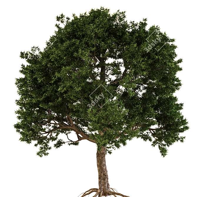 Poly Jungle: Luxurious Tree Sculpture 3D model image 2