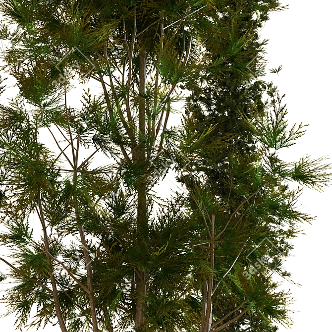 Greenery Delight: Planting Tree Set 3D model image 3