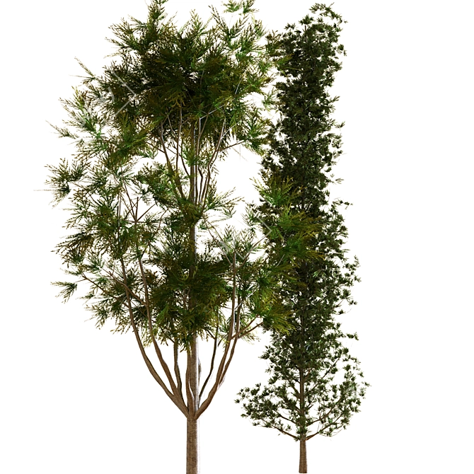 Greenery Delight: Planting Tree Set 3D model image 5