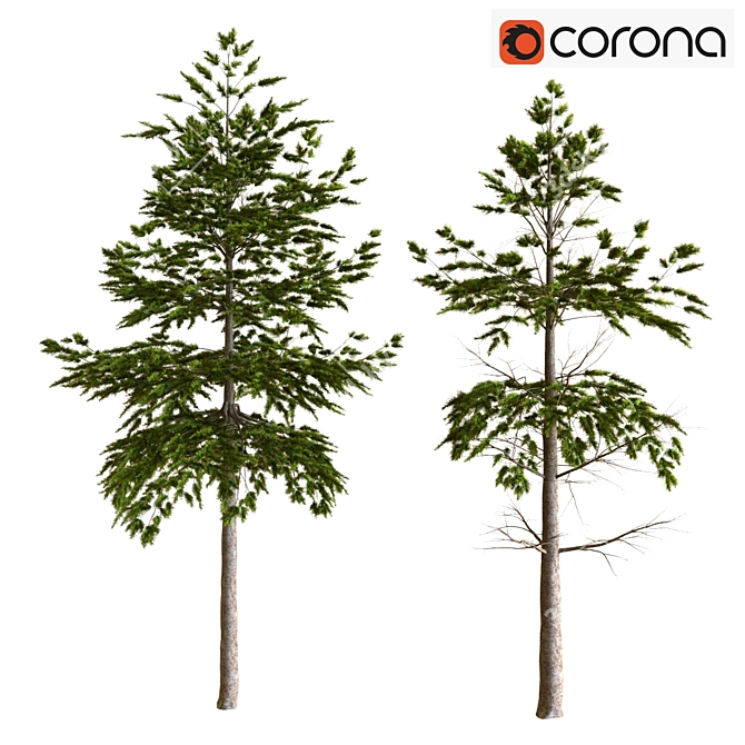 Eco-friendly Plant Tree Set 3D model image 1