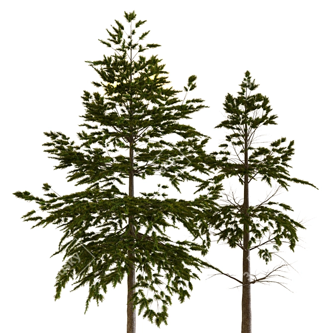 Eco-friendly Plant Tree Set 3D model image 2
