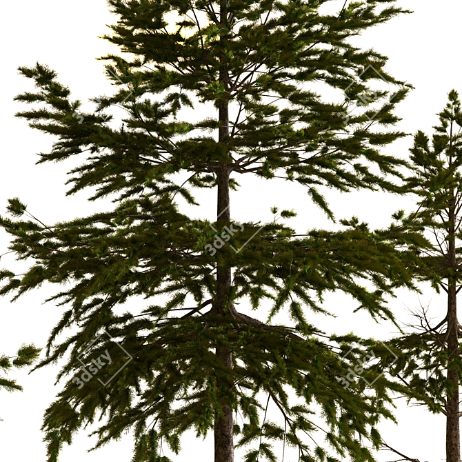 Eco-friendly Plant Tree Set 3D model image 3