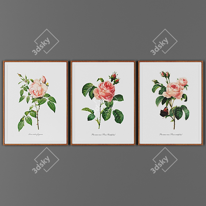 Wooden Frame Art Collection 3D model image 1