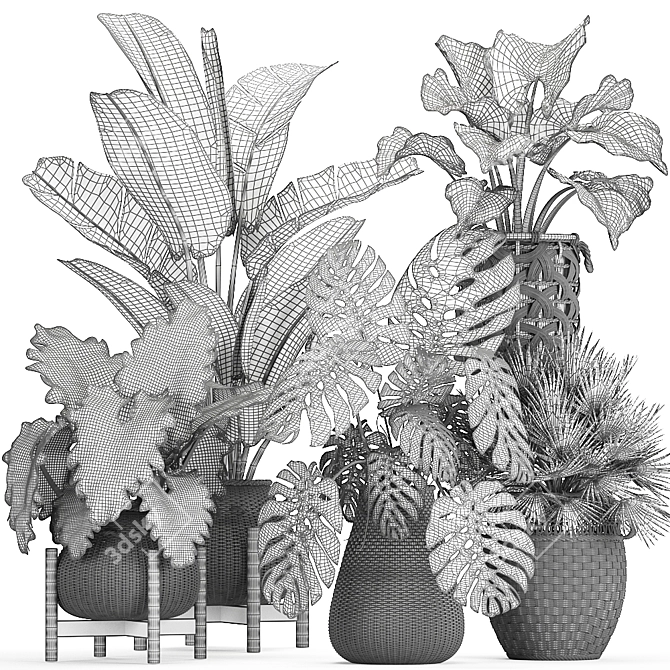 Exotic Rattan Plant Collection 3D model image 5