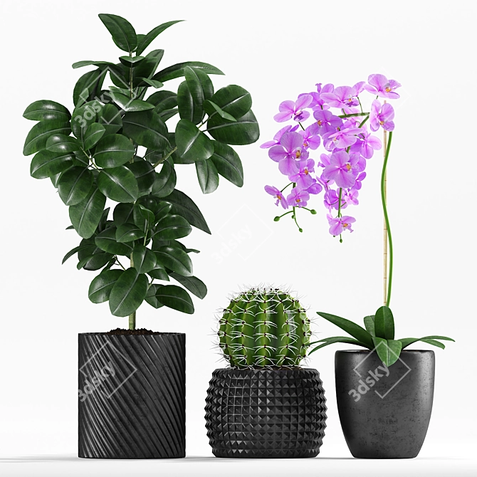 235 Indoor Plant Collection 3D model image 2
