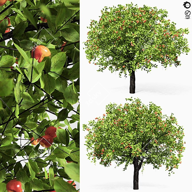 Giant Apple Tree 6s: Realistic 3D Model 3D model image 1