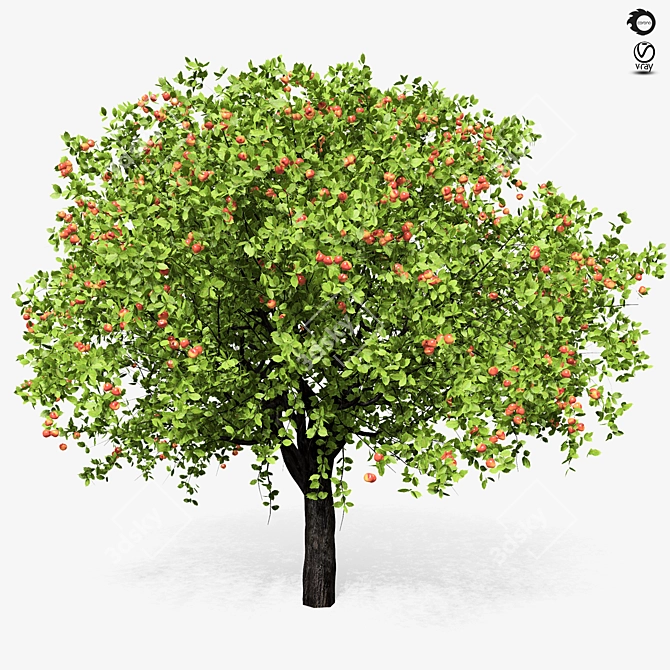 Giant Apple Tree 6s: Realistic 3D Model 3D model image 4