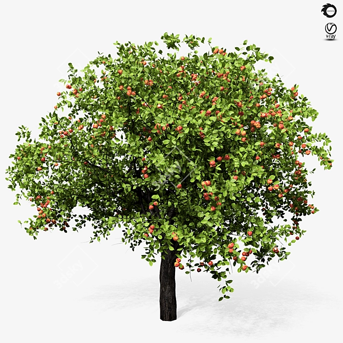 Giant Apple Tree 6s: Realistic 3D Model 3D model image 5