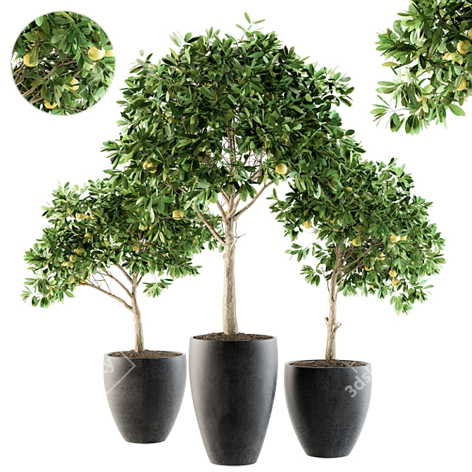 Lush Lemon Tree Set - Perfect for Outdoor Planting! 3D model image 1