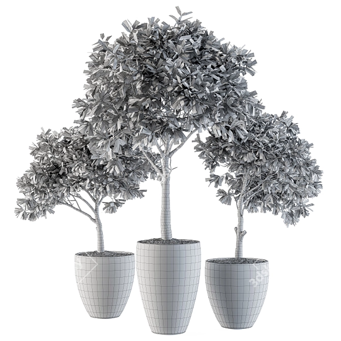 Lush Lemon Tree Set - Perfect for Outdoor Planting! 3D model image 5