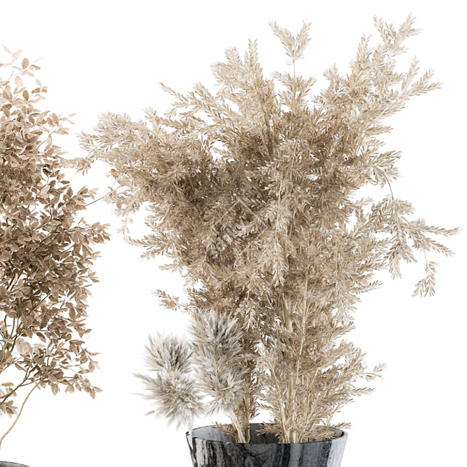 Pampas Dream - Dried Flora Delight 3D model image 3