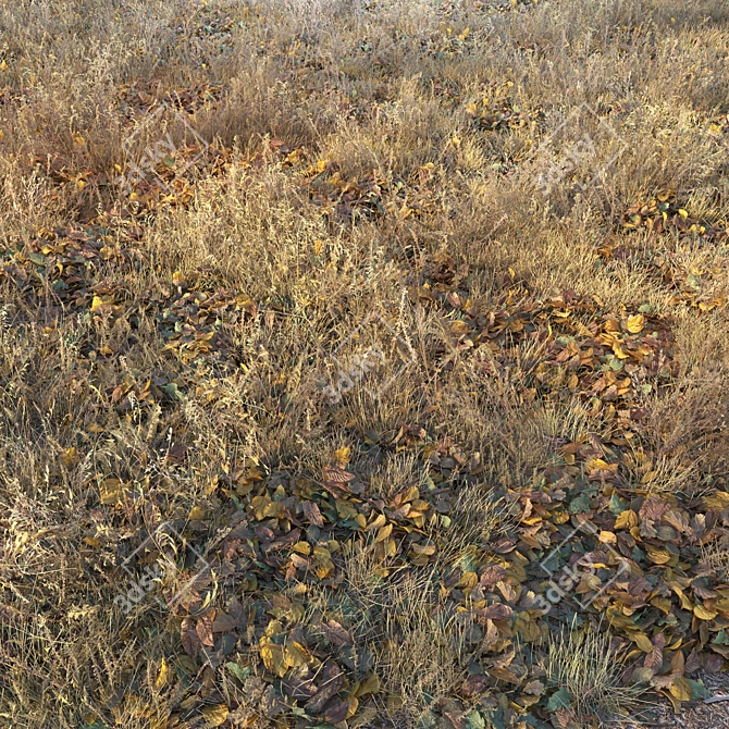 Autumn Fields Dry Grass 3D model image 1