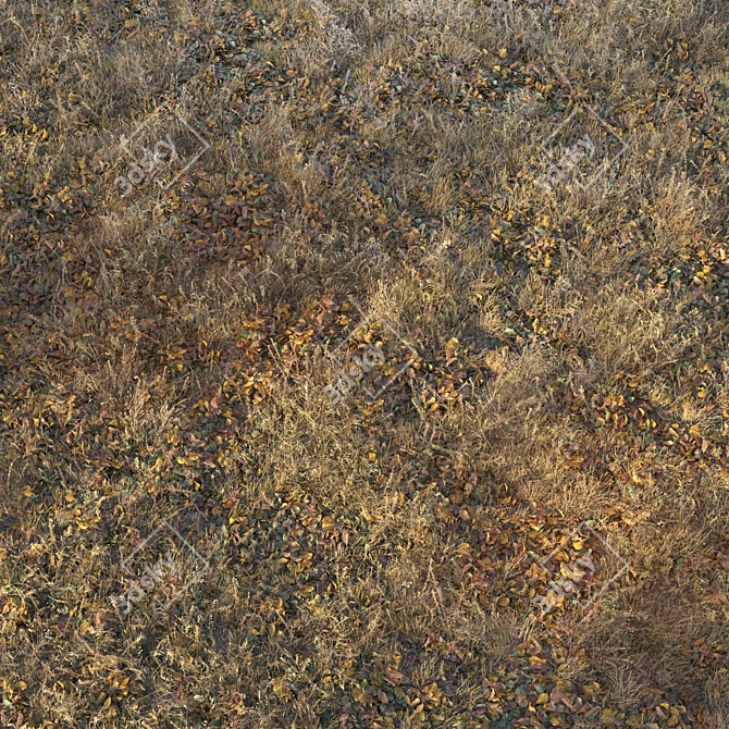 Autumn Fields Dry Grass 3D model image 2